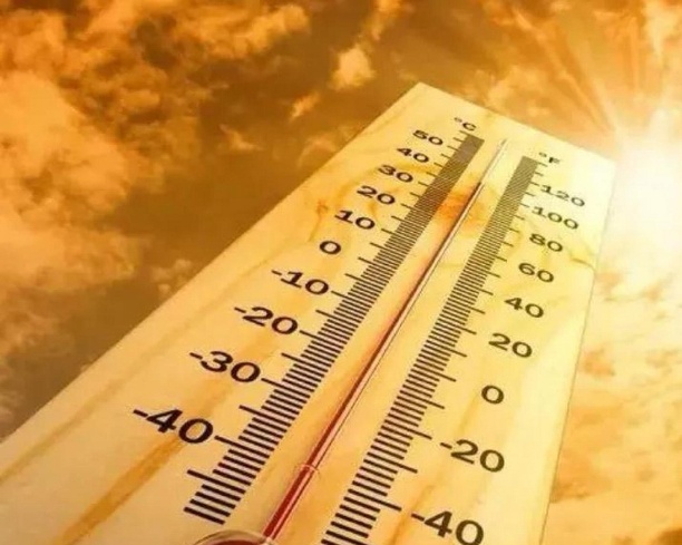 ¿Cómo proteger los cosméticos enviados por correo urgente en días calurosos?